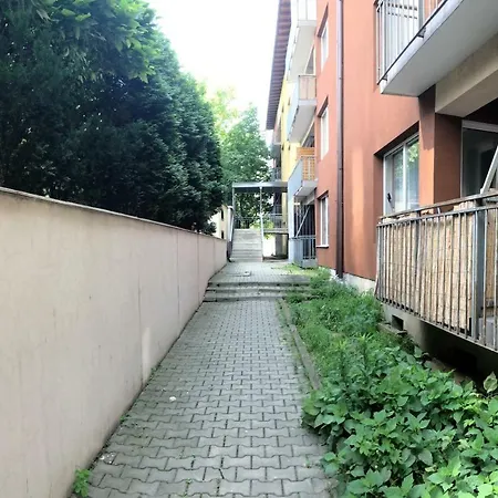Frunzisului 110 アパート *
